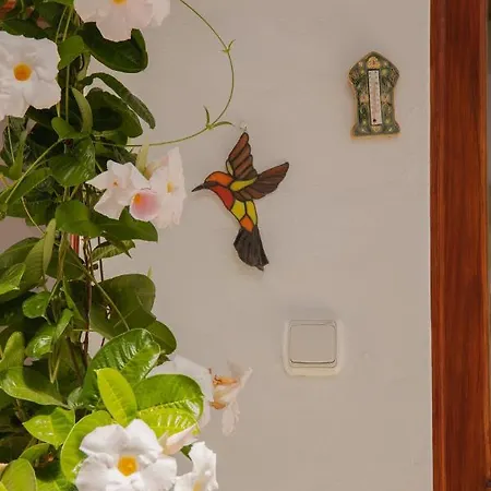 Сasa de vacaciones Casa Carmen *